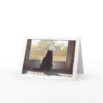 Missing you cards by Elsapozu Missing you cards