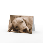 Missing You Greeting Cards