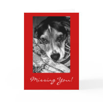 Missing You! cards