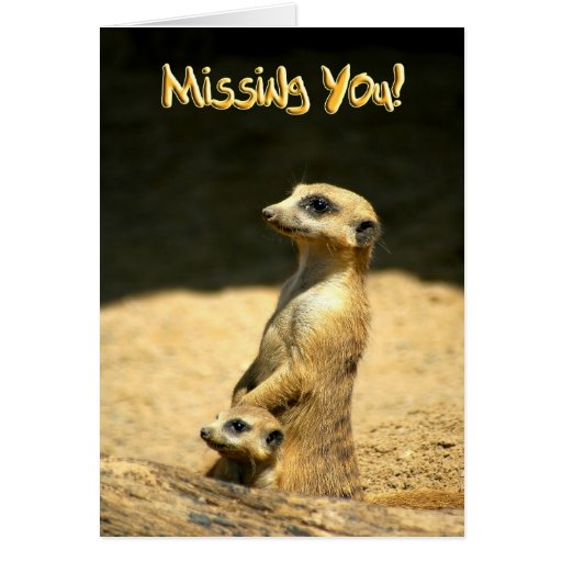 Missing You Card Message Ideas