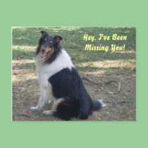 Missing You- Collie! postcards