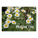 missing you daisy card cards