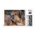 Missing You Dog postage by Petcetera Missing You Dog postage