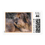 Missing You Dog Postage Stamps