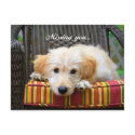 Missing You Golden Doodle Postcard