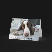 Missing you - greeting card by clarionphoto Missing you - greeting card