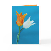 Missing You Greeting Cards
