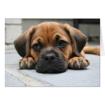 Missing you greeting cards