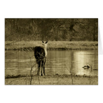"Missing You" Horse Card cards