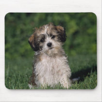Missing You mousepads