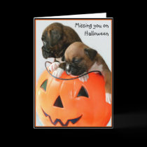 Missing you on Halloween Boxer greeting card