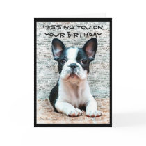 Missing you on your Birthday French Bulldog card
