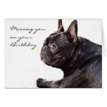 Missing you on your Birthday French Bulldog card
