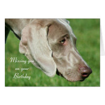 Missing you on your Birthday Weimaraner Card
