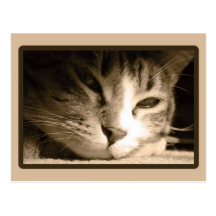 Missing You Post Card