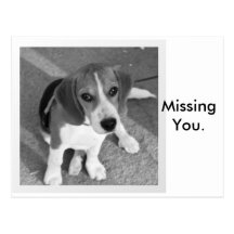 Missing you post cards