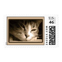 Missing you postage by 3kitty Missing you postage