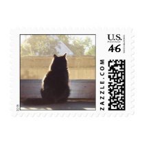 Missing you postage