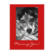 Missing You! postcards
