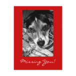 Missing You! postcards