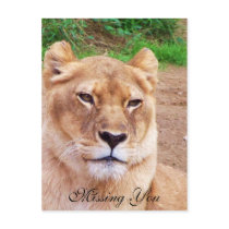 Missing You_ Postcard by ELENNE Missing You_ Postcard