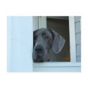 Missing You Postcard