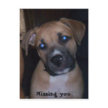 Missing you. Postcard