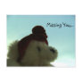 Missing You Post Cards