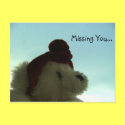 Missing You postcards by Heartworks Missing You postcards