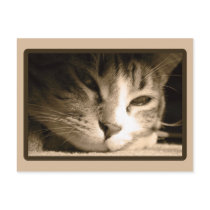 Missing You postcards by 3kitty Missing You postcards