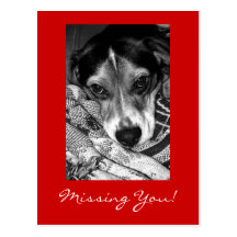 Missing You! Postcards