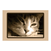 Missing You posters by 3kitty Missing You posters