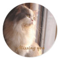 Missing you stickers