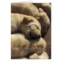 Missing You - Wish You Were Here - Labrador Greeting Card
