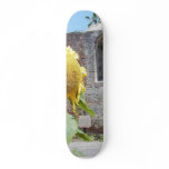 Mission Capistrano Church Bells Walls Sunflowers A Skateboard Deck