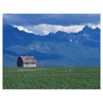 Mission Mountains, Flathead Valley, Montana, USA Full Color Flyer
