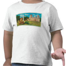 Mission Santa Barbara View Tee Shirts