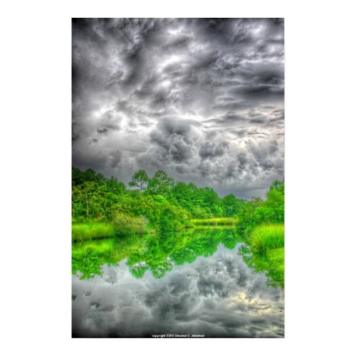 Mississippi Bayou print