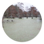 Mississippi Bayou Sticker