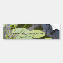 Mississippi Bumper Sticker