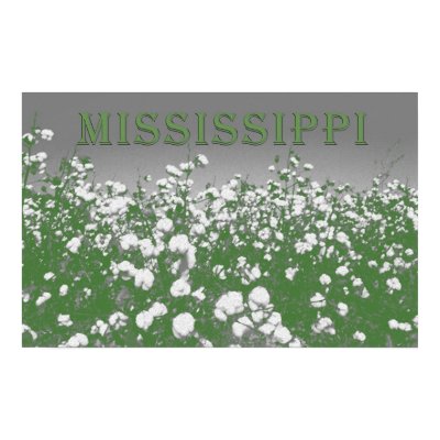 Mississippi Cotton Poster by MaryGrayce