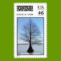Mississippi Cypress postage