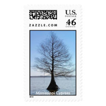 Mississippi Cypress postage by ksignorello Mississippi Cypress postage