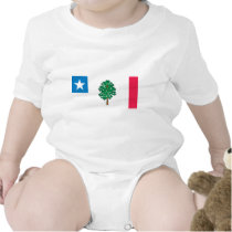 Mississippi Flag T-Shirts (1861) by FlagTshirts Mississippi Flag T-Shirts (1861)