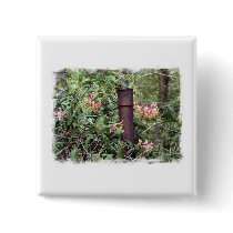 Mississippi Honeysuckle Magnet buttons