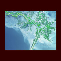 Mississippi River Delta Satellite Postcard