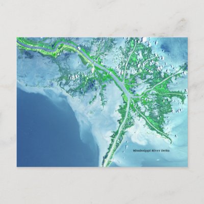 Mississippi River Delta Satellite Postcard by RealPotential