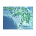 Mississippi River Delta Satellite Postcard