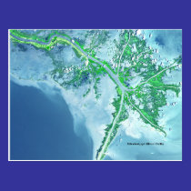 Mississippi River Delta Satellite Postcard postcards