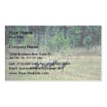 Mississippi Sandhill Cranes Business Card